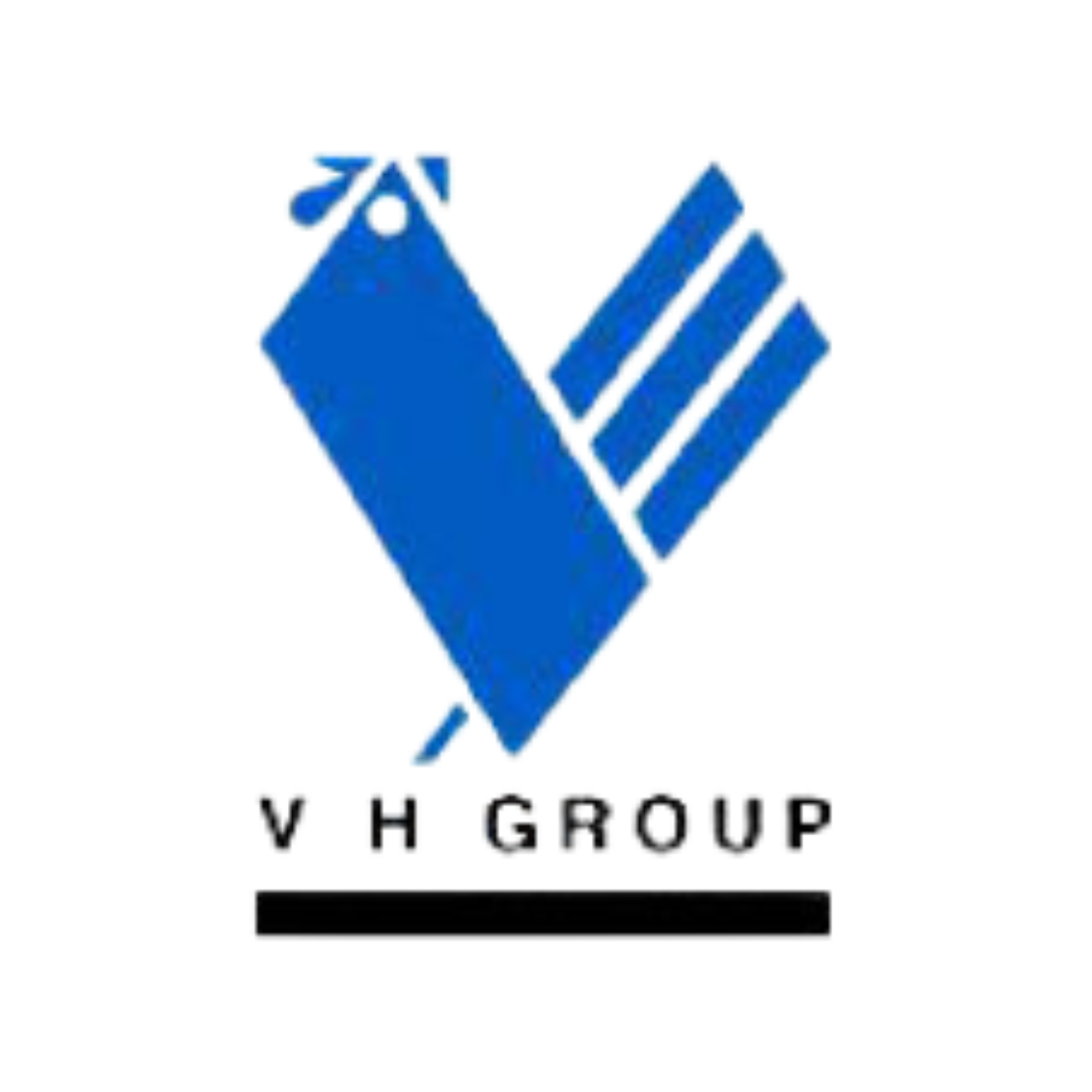 VH Group
