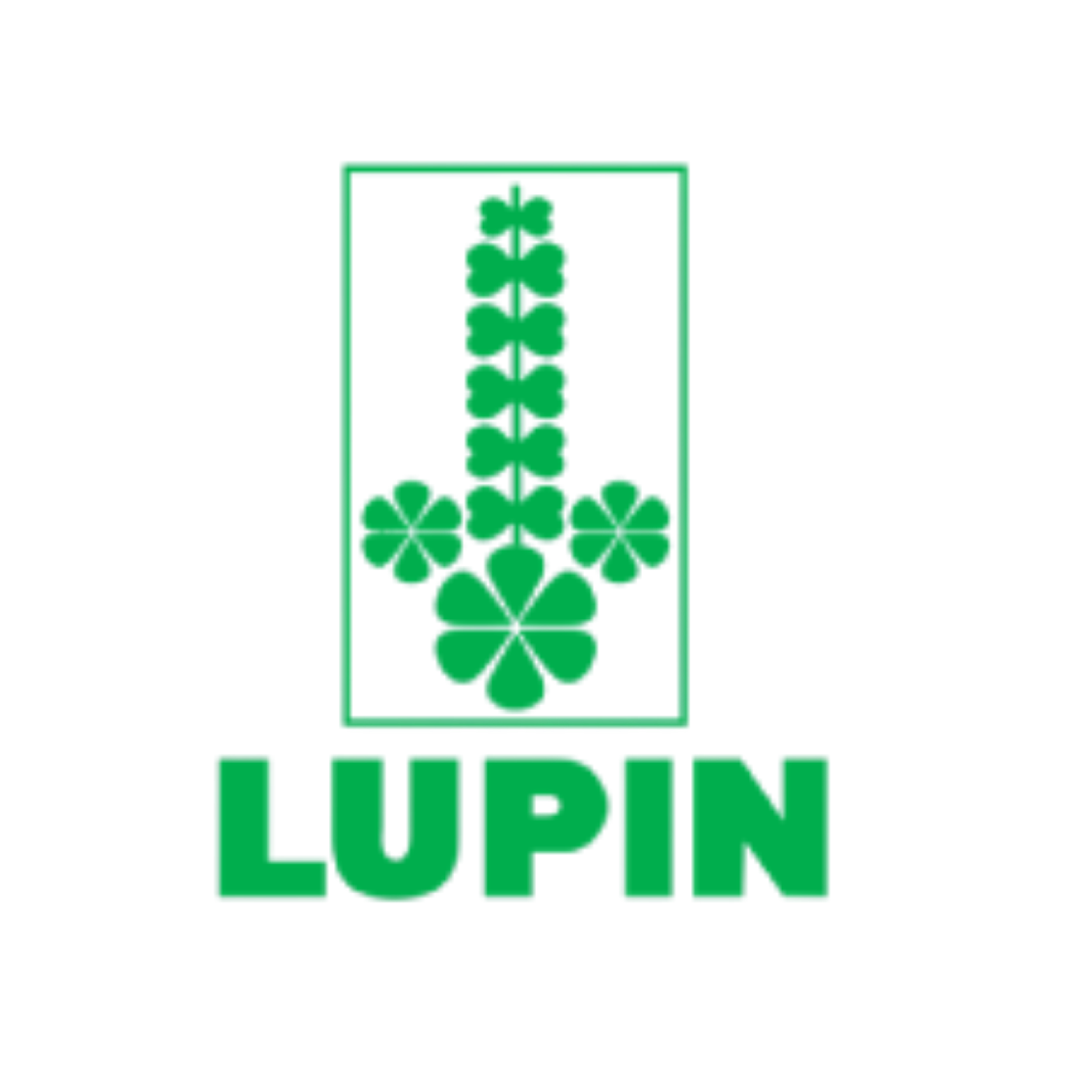 Lupin
